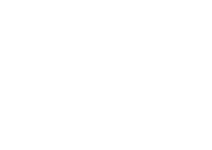 White lotus flower icon.